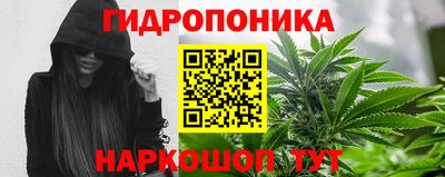 шишки Гусь-Хрустальный