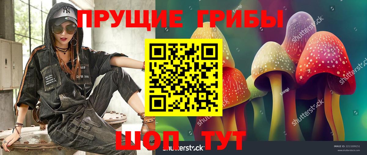Бошки Шишки Калач-на-Дону